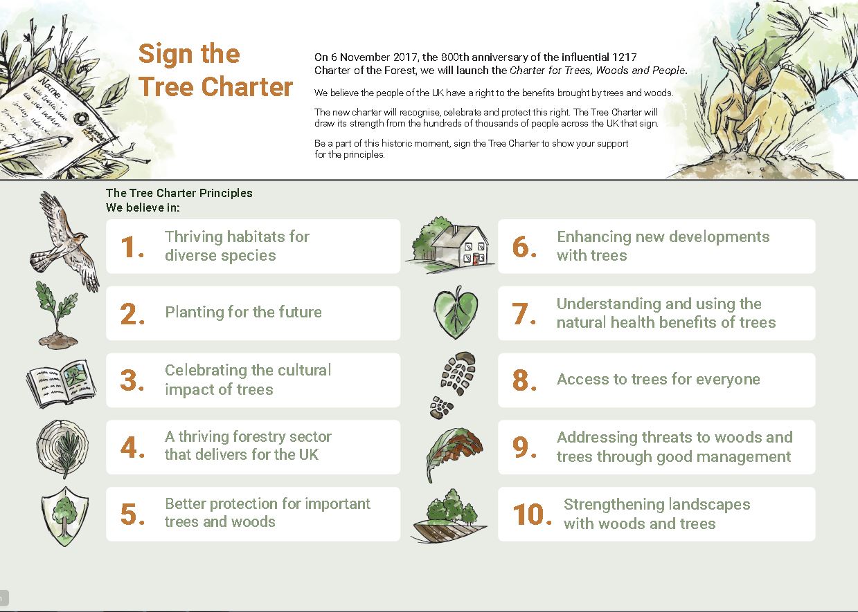 Image result for charter for trees, woods and people