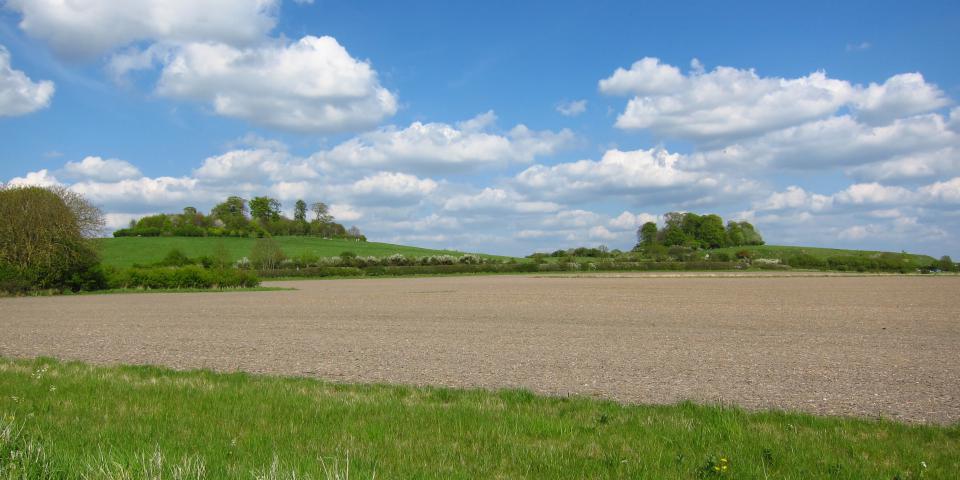 Wittenham Clumps, Oxfordshire - Robin Stevens CC BY-NC-ND 2.0