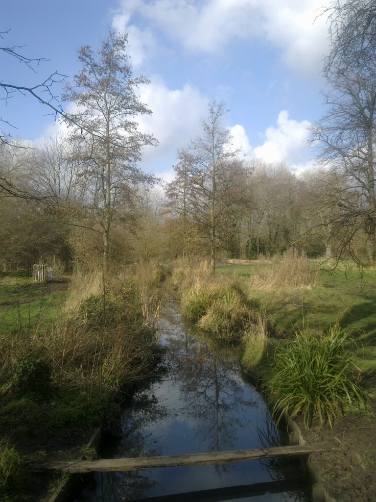 River Wandle near Croydon
