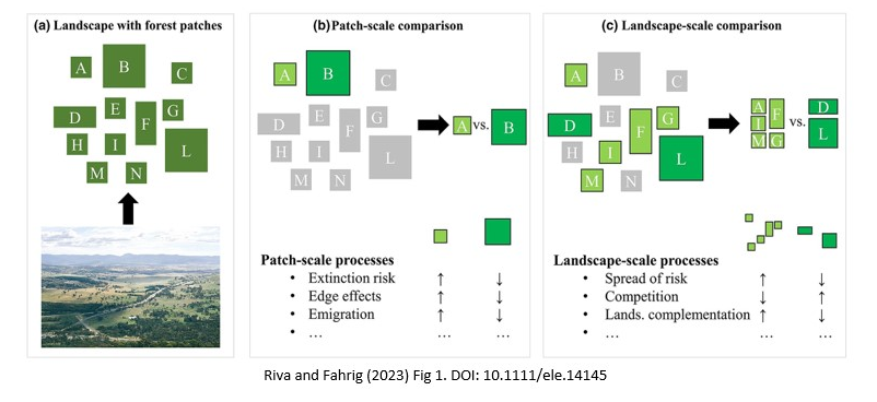 Fig 1 from Riva and Fahrig (2023)