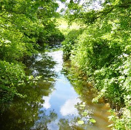 The River Adur