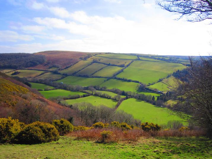 field patterns near Brendon, Devon (Credit: Chris McAuley, via geograph.com) field patterns near Brendon, Devon (Credit: Chris McAuley, via geograph.com)