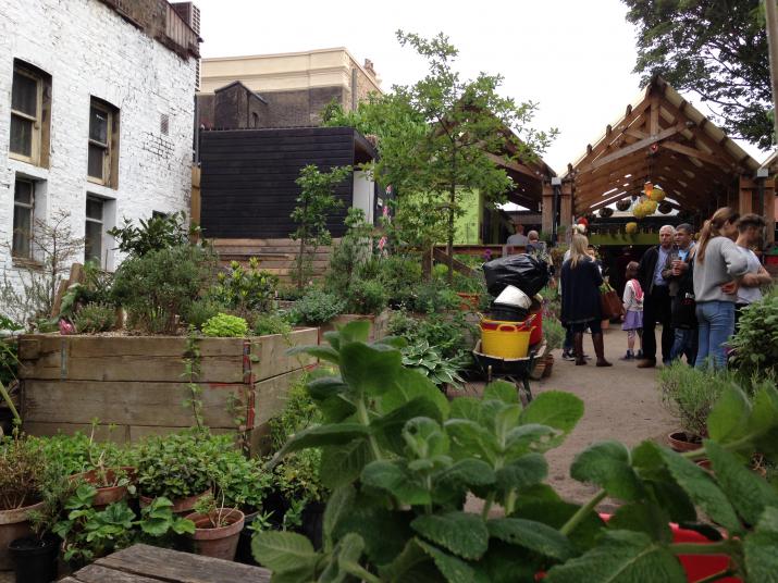 The garden at Eastern Curve, Hackney provides local people contact with nature (Credit: Rosie Whicheloe)