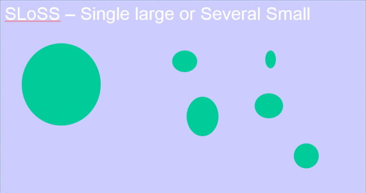 Single large or several small - the theory of island biogeography Single large or several small - the theory of island biogeography