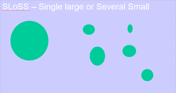 Single large or several small - the theory of island biogeography