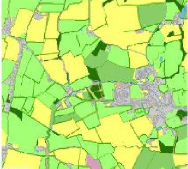 Landcover Map with mapped hedgerows (Credit: Author)