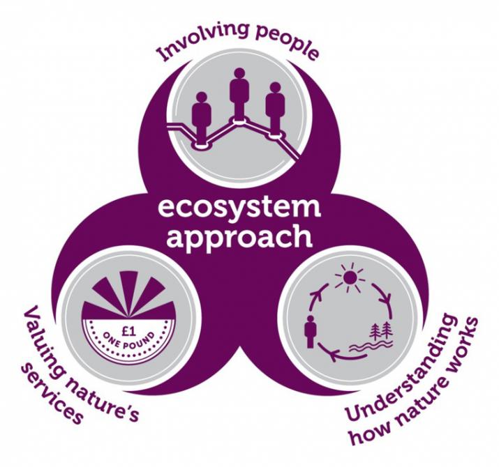 Ecosystem Service: Valuing nature's services, understanding how nature works and involving people (Credit: JNCC)