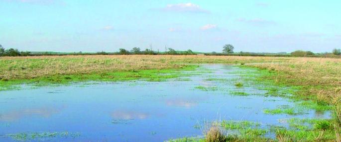 Upper Ray Meadows (c) BBOWT Upper Ray Meadows (c) BBOWT
