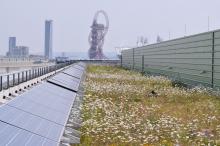 UKs largest biosolar roof on the Olympic Media Centre, photo credit: Stuart Connop, University of East London