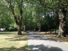 cycle walking route through Southwark Park, photo credit: Rosie Whichloe